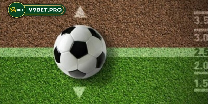 Bet thủ phải nắm chắc về loại chấp muốn chốt để chọn kèo chuẩn