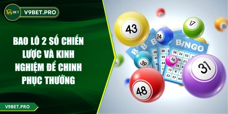 Bao Lô 2 Số Chiến Lược Và Kinh Nghiệm Để Chinh Phục Thưởng