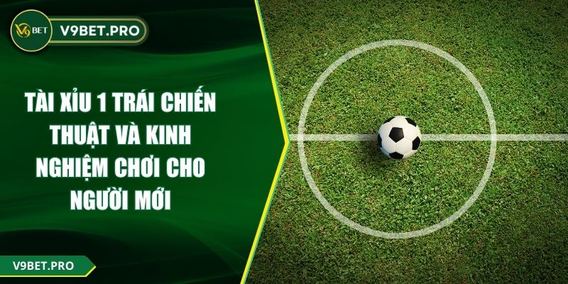 Tài Xỉu 1 Trái Chiến Thuật Và Kinh Nghiệm Chơi Cho Người Mới